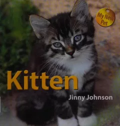Kitten