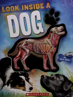 Look inside a dog