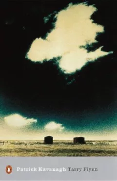 Tarry Flynn (Penguin Modern Classics)