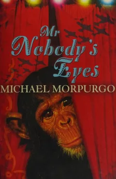 Mr Nobody's Eyes