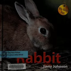 Rabbit