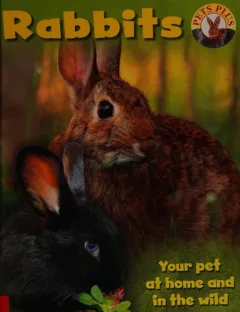 Rabbits