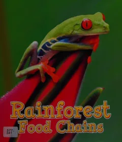 Rainforest food chains