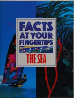 The sea