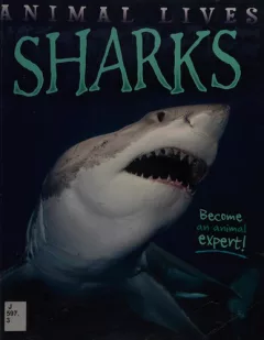 Sharks