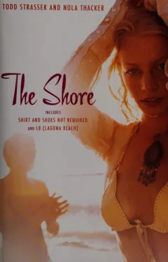The shore