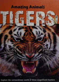 Tigers