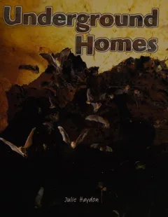 Underground homes