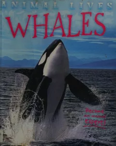 Whales
