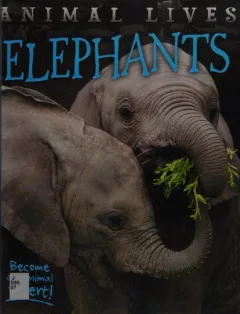 Elephants