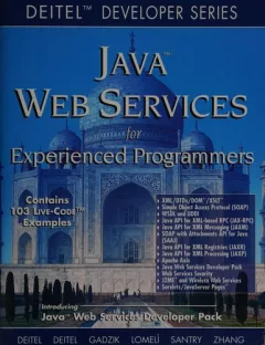 Java Web services for experienced programmers
