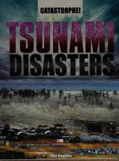 Tsunami disasters