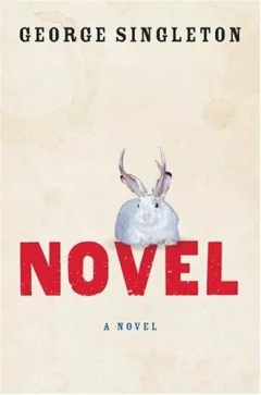 Novel