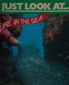 Life in the sea