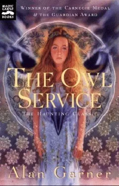 The owl service