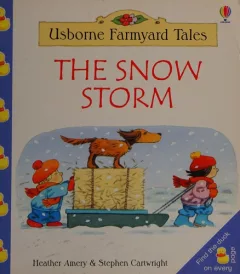 The snow storm