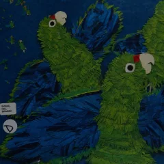 Parrots over Puerto Rico