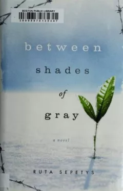 Between shades of gray