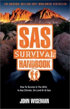Sas Survival Handbook
