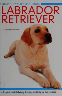 Labrador retriever