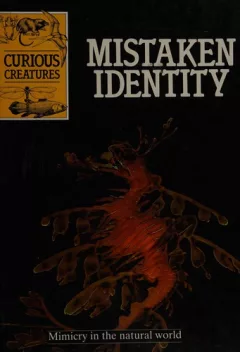 Mistaken identity