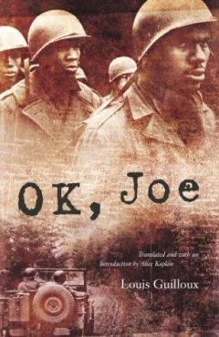 OK, Joe