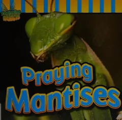 Praying mantises