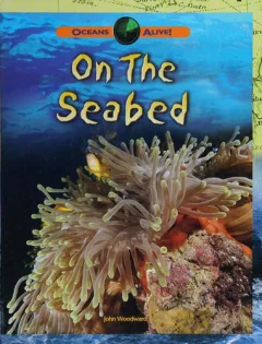 On the seabed