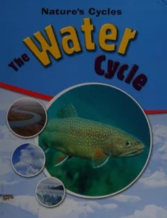 The water cycle