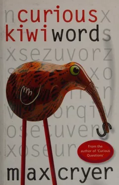 Curious Kiwi words