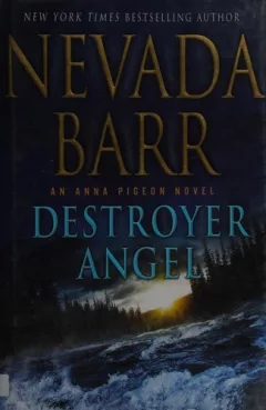 Destroyer angel