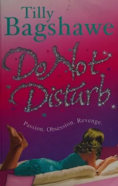Do Not Disturb