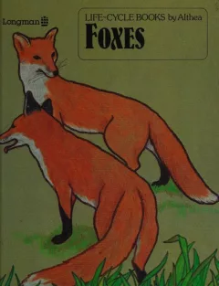 Foxes
