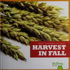 Harvest in fall