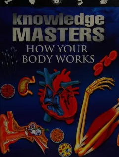 How your body works