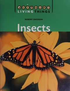 Insects