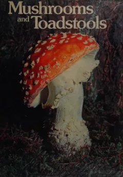Mushrooms and toadstools