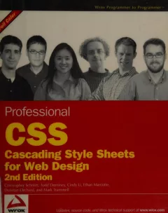 Professional CSS