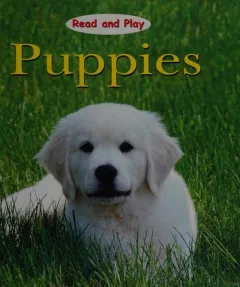Puppies