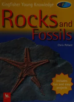 Rocks and fossils