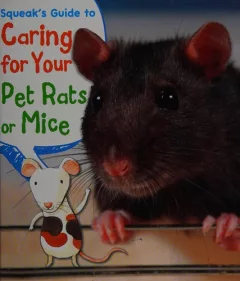 Squeak's guide to caring for your pet rats or mice