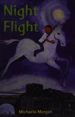Night flight