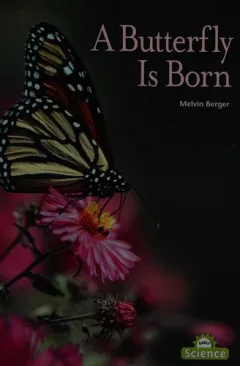 A butterfly is born
