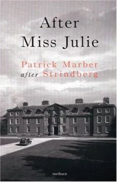 After Miss Julie (Methuen Drama)