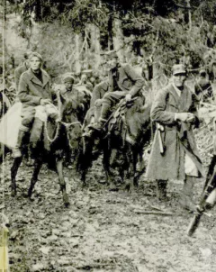 Partisans and Guerrillas (World War II)