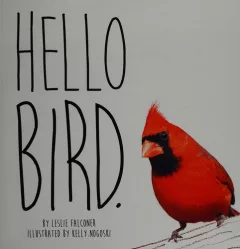 Hello bird