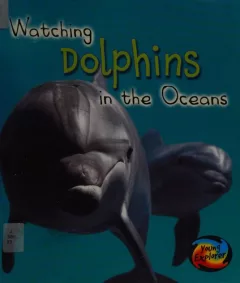 Watching dolphins in the oceans
