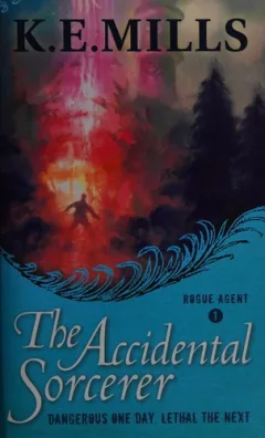 The accidental sorcerer