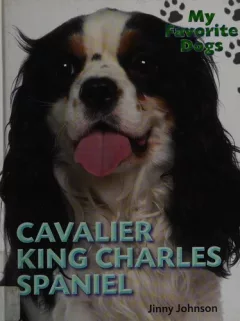 Cavalier King Charles spaniel