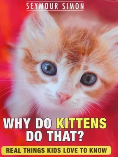 Why do kittens do that?